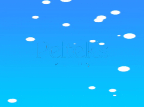 GIF by Pelteks Kumaş