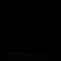 fan badass GIF by Super Drags Netflix