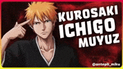 Bleach Kurosaki Ichigo GIF