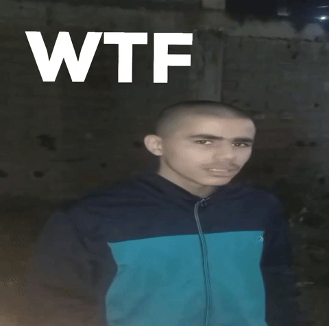 Fun Wtf GIF