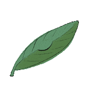 illustratingchange nature green eyes eye Sticker