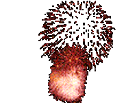 fireworks STICKER