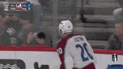 Happy Stanley Cup GIF by NHL