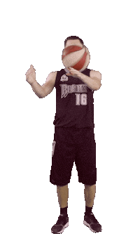 Basketball Playing Sticker by ACSL - Austrian College Sports League