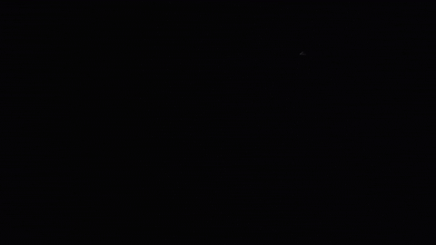 bartiniorlando bar orlando tini bartini orlando GIF