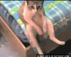 things get GIF