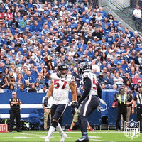 Celebrate Houston Texans GIF by NFL