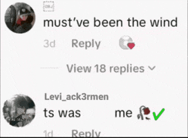 The Wind GIF