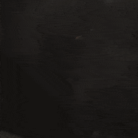 Youre Welcome Reaction GIF by Apex Legends