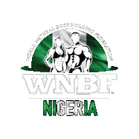 Nigeria Sticker by wnbfofficial