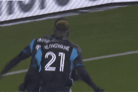 Minnesota United Mls GIF by Major League Soccer