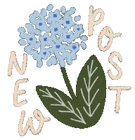 Summer Post Sticker by littleevergreenco