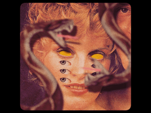 jaysprogell giphyupload eyes snake collage GIF