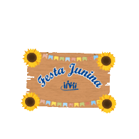 Festa Junina Sticker by Instituto Sinodal Imigrante