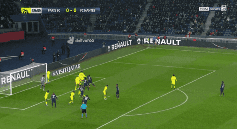 psgfan1970 giphyupload GIF