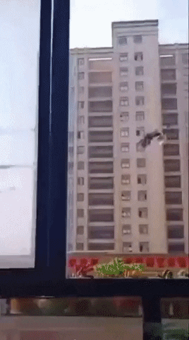 swanjun30 giphyupload GIF