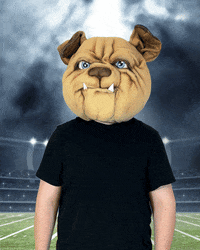 MUGRootBeer football flag mug root beer GIF