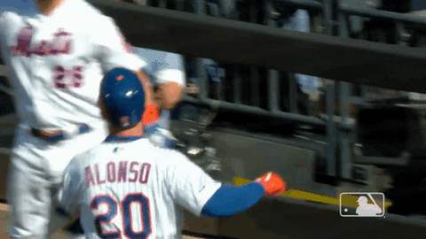 high five home run GIF by New York Mets