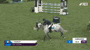 FEI_Global reaction happy sport celebrate GIF
