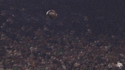 Football Catch GIF by Texas A&M Athletics