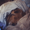 time sleepyhead GIF