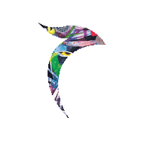 Animation Color Sticker