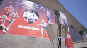 Final Four Trophy GIF by EuroLeague