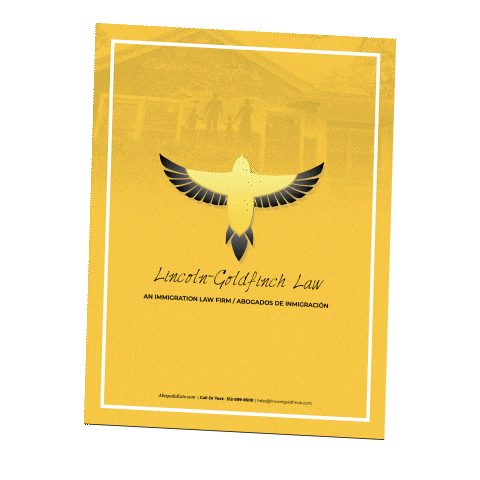 News Ice Sticker by Lincoln Goldfinch Law