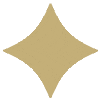 Star Gold Sticker