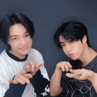 Stray Kids Skz GIF
