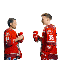 Goal Win Sticker by Eisbären Regensburg