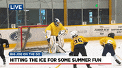 Nashville Predators Hockey GIF by WSMV  News 4, Nashville