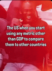 The Us Usa GIF