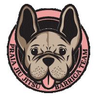 Praiabjj bjj praia barriga checkmat Sticker