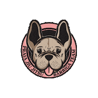 Praiabjj bjj praia barriga checkmat Sticker