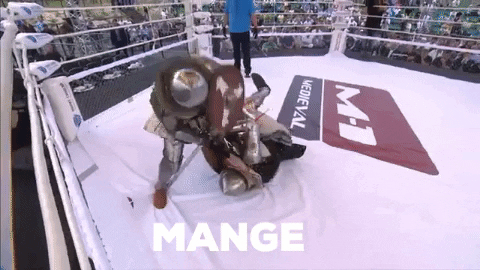 LuoChengyi giphygifmaker medieval croisade combat medieval GIF