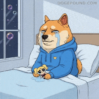 Sad Shiba Inu GIF by Doge Pound