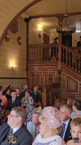 Owl Ring Bearer Wows Wedding Guests