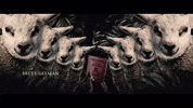 Natalie Portman Fish GIF by Alma Har'el