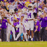 College Football GIF by LSU Tigers