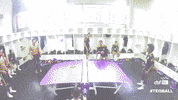 brazil chelsea GIF