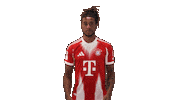 Fc Bayern Thumbs Up Sticker by Bundesliga