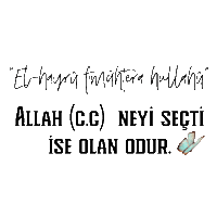 Mnkscuma Sticker