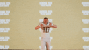 Georgia Tech Football Sport GIF by Georgia Tech Yellow Jackets