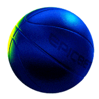 Champions League Win Sticker by Epicbet