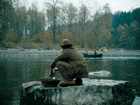 GIF by D'A Film Festival