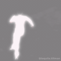 Van Netherlands GIF
