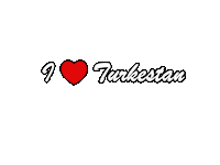 I Love Kazakhstan Sticker by Info Shymkent