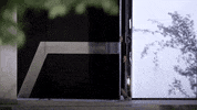 Gntmgr GIF by Star Channel TV