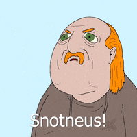 Aanenmatig animatie tekenfilm grappig rolf GIF